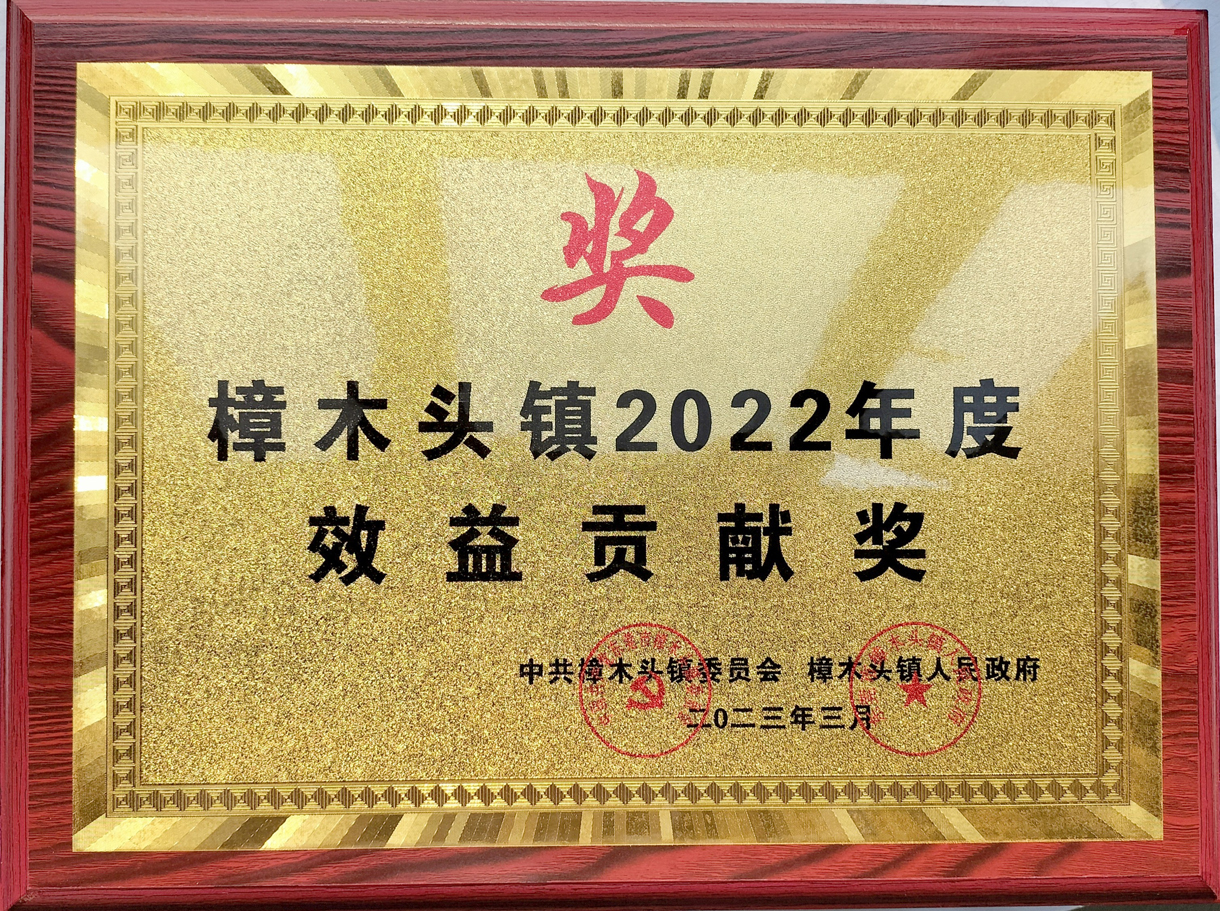 我司被評為“鎮(zhèn)2022年度先進(jìn)單位”